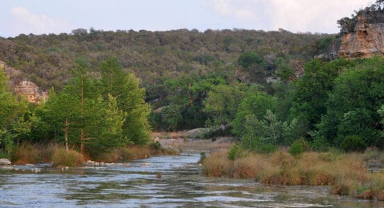 The_Guadalupe_River_in_Kerr_County,_Texas,_USA_(8_May_2014)